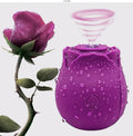 Pulse Rose – Intimate Wellness Massager